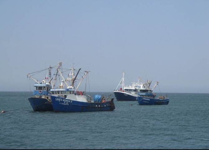 Gobierno decide incluir sector pesca en Obras por Impuestos