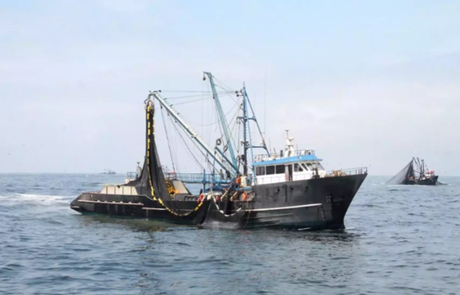 Segunda temporada de pesca inicia hoy