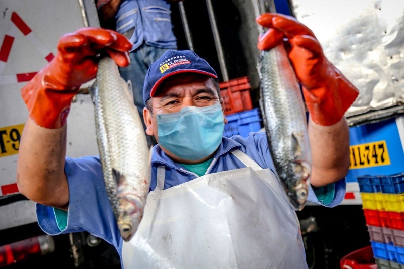 Pesca para consumo humano directo operaría al 100% a fines de año
