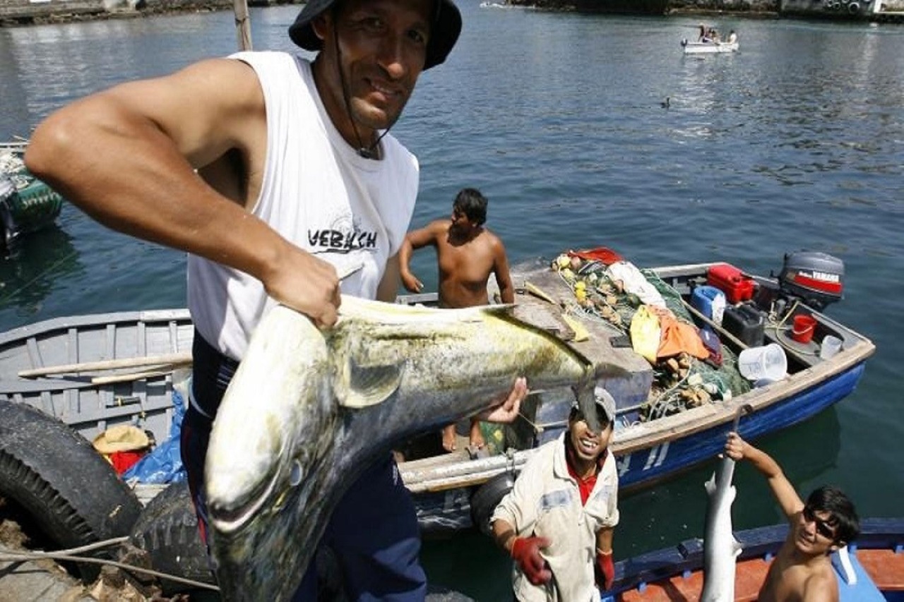 Gobierno aprueba transferencia para reactivar economía de pescadores artesanales