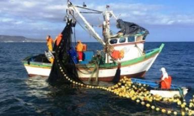 Amplían vigencia de permisos de pesca para cooperativas pesqueras