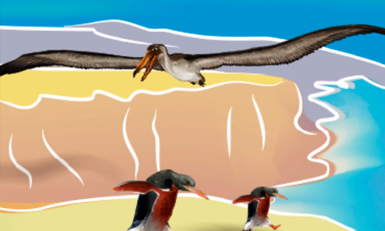 Paleontólogo peruano realiza el primer estudio de biofísica aplicada a fósiles de Perú