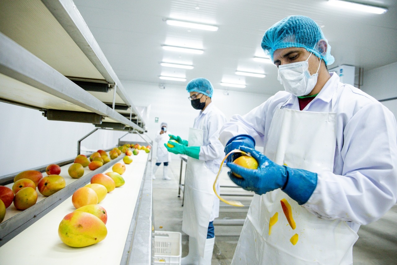 Perú se prepara a exportar fruta congelada a China