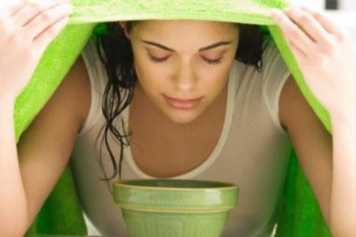 Conoce las cinco plantas medicinales para aliviar problemas respiratorios y digestivos