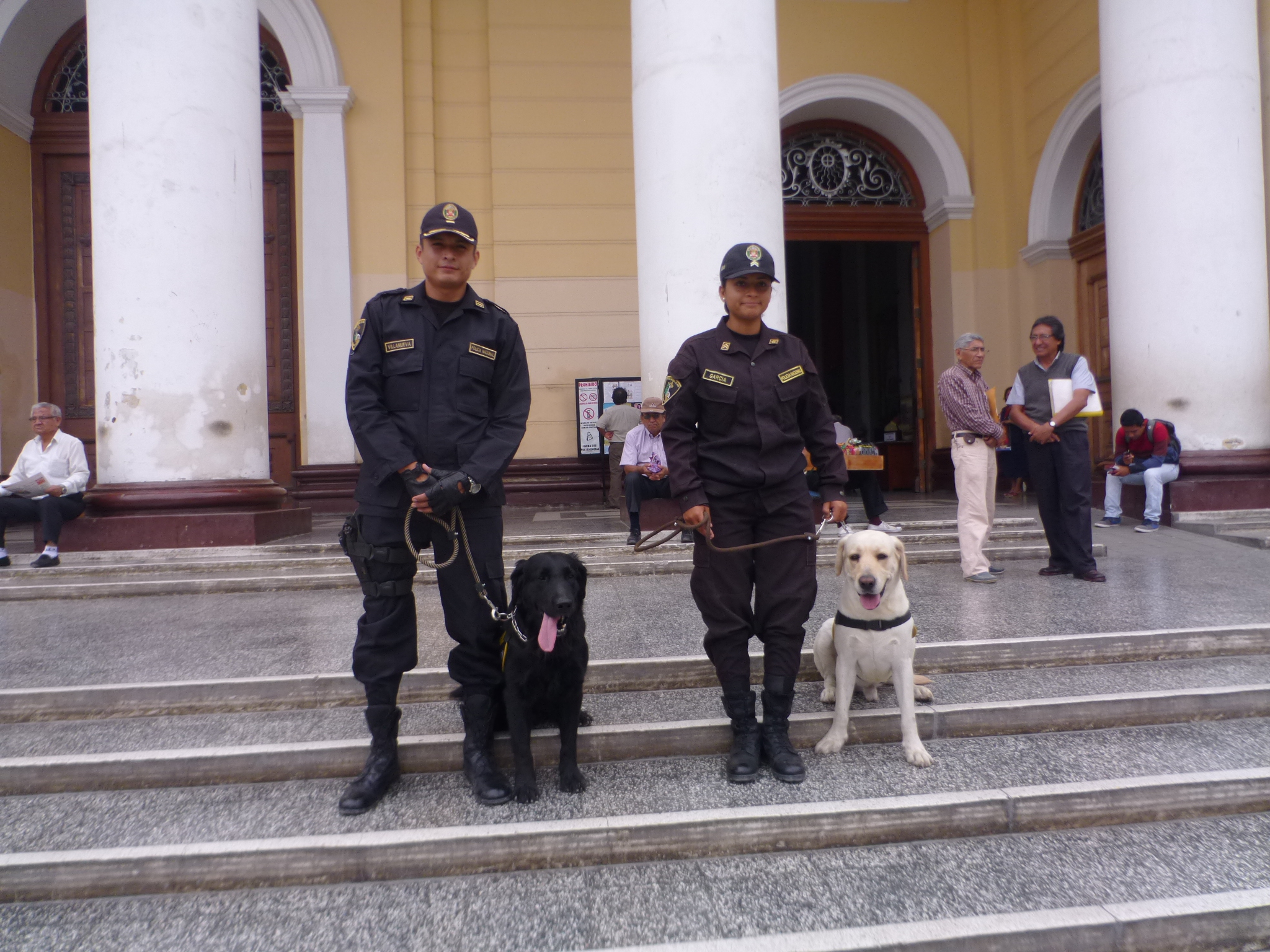 Policía Canina se prepara para búsqueda y rescate ante el FEN
