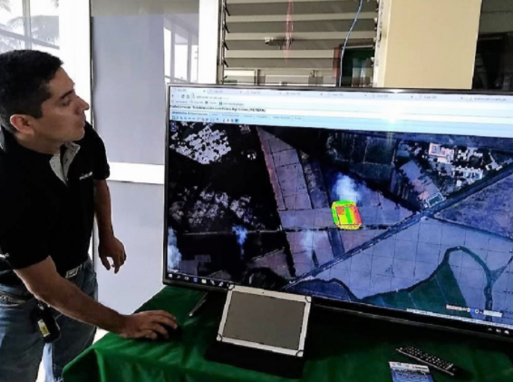 Monitorearán cultivos de maíz en Lambayeque vía plataforma virtual 