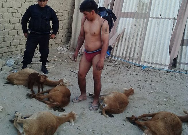 Rondas atrapan a presunto abigeo y vecinos casi lo linchan