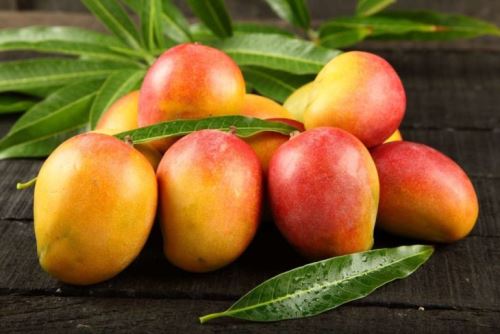 Lambayeque: productores de mango piden ayuda del Estado debido a la sobreproducción de este fruto