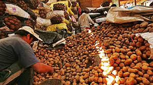 Producción de papa aumentó 11,6% en octubre de 2019 en varias regiones