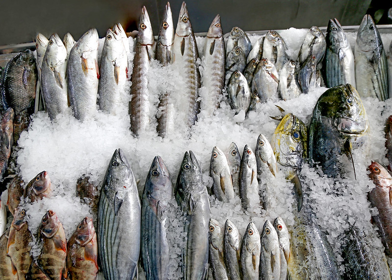 Produce informa que hay abastecimiento de recursos hidrobiológicos en todo el país