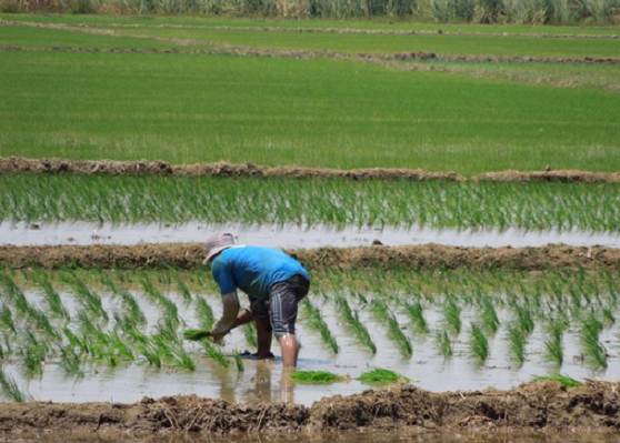 Analizarán perspectivas económicas de Lambayeque en foro regional