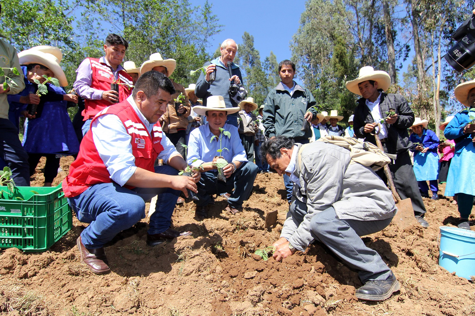 Usuarios de Pensión 65 se reintegran  a cadenas productivas de sus localidades