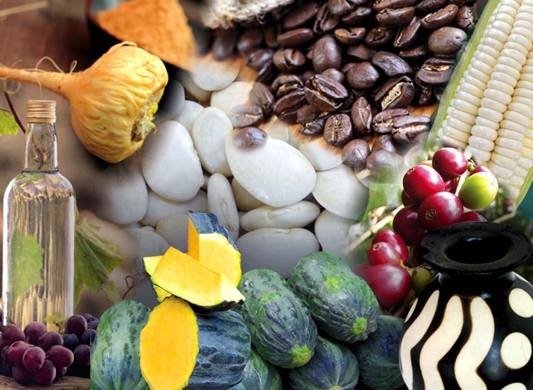 Estos son los productos peruanos con denominación de origen