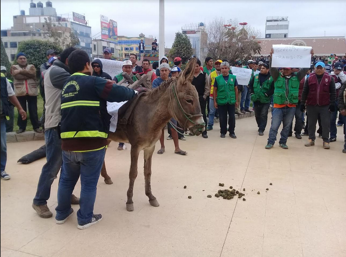 Con burro llegan mototaxistas hasta el frontis de municipio de JLO
