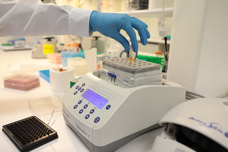 Industria pesquera financiará validación de pruebas moleculares rápidas