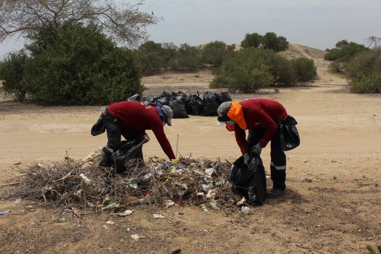 Realizan jornada de limpieza en Sitio Arqueológico Chililí y retiran más de 100 toneladas de desmonte