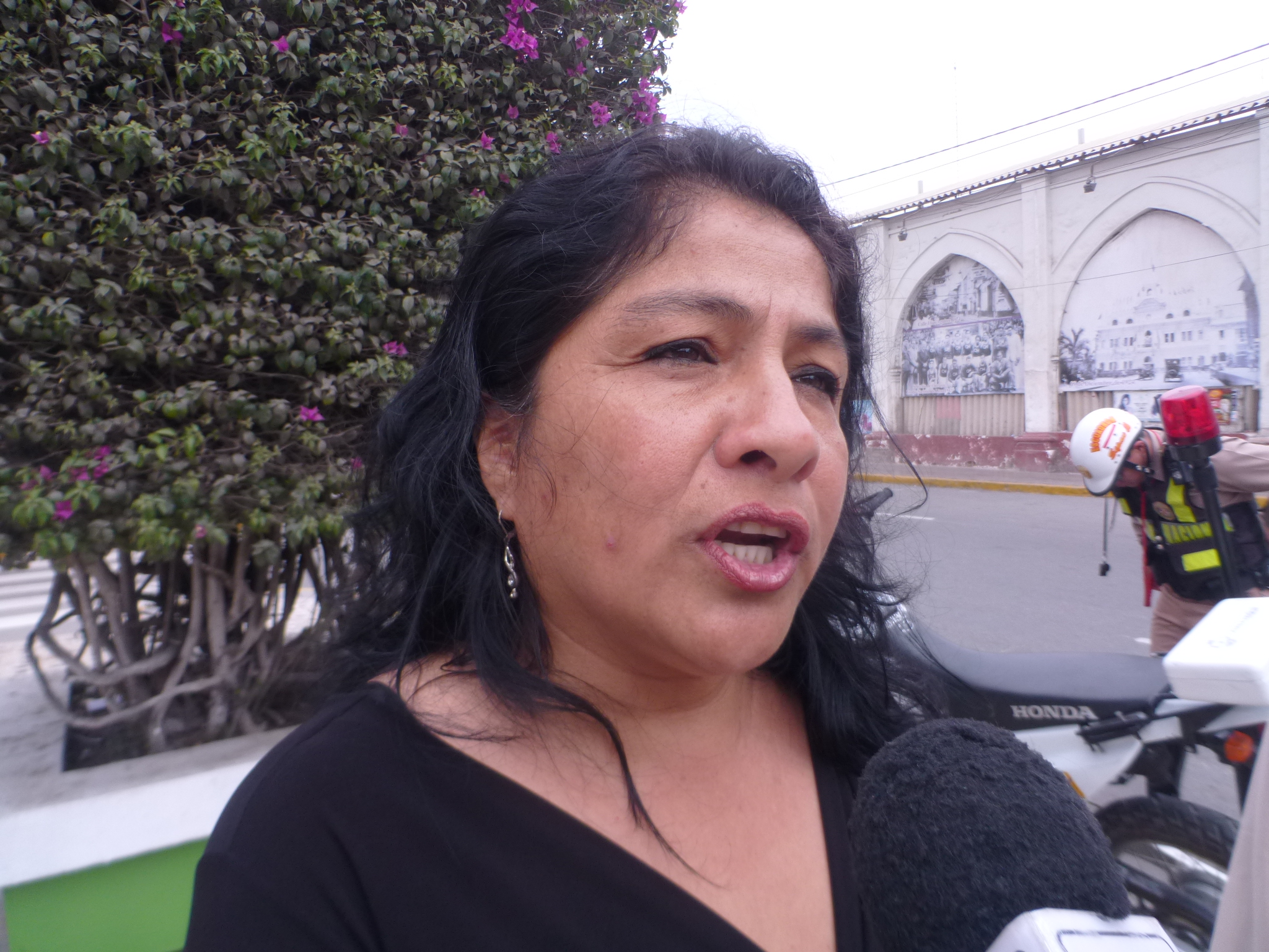  Regidora provincial confirma salida de las filas del oficialismo apepista