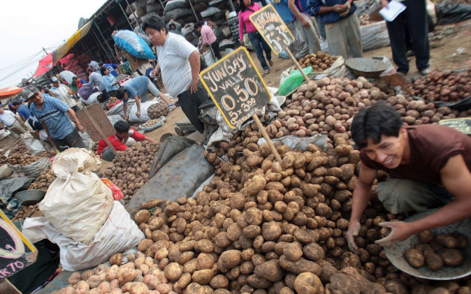Reordenarán Mercado Mayorista Moshoqueque