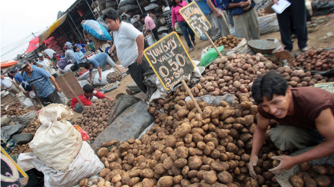 Reordenarán  Mercado Mayorista Moshoqueque