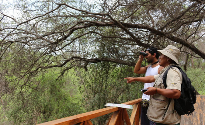 Contraloría considera insuficientes trabajos de protección en Bosque de Pómac y Túcume