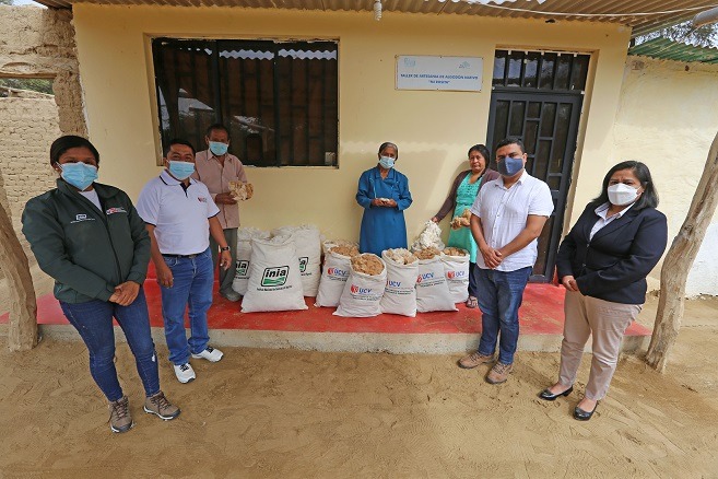 UCV Chiclayo dona algodón nativo a artesanas de la Región Lambayeque 