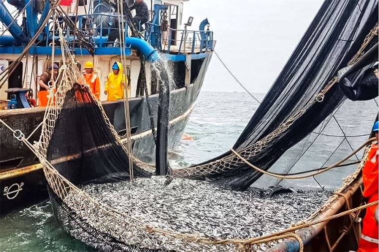 Sectores pesquero y manufacturero aportan a la reactivación económica del Perú