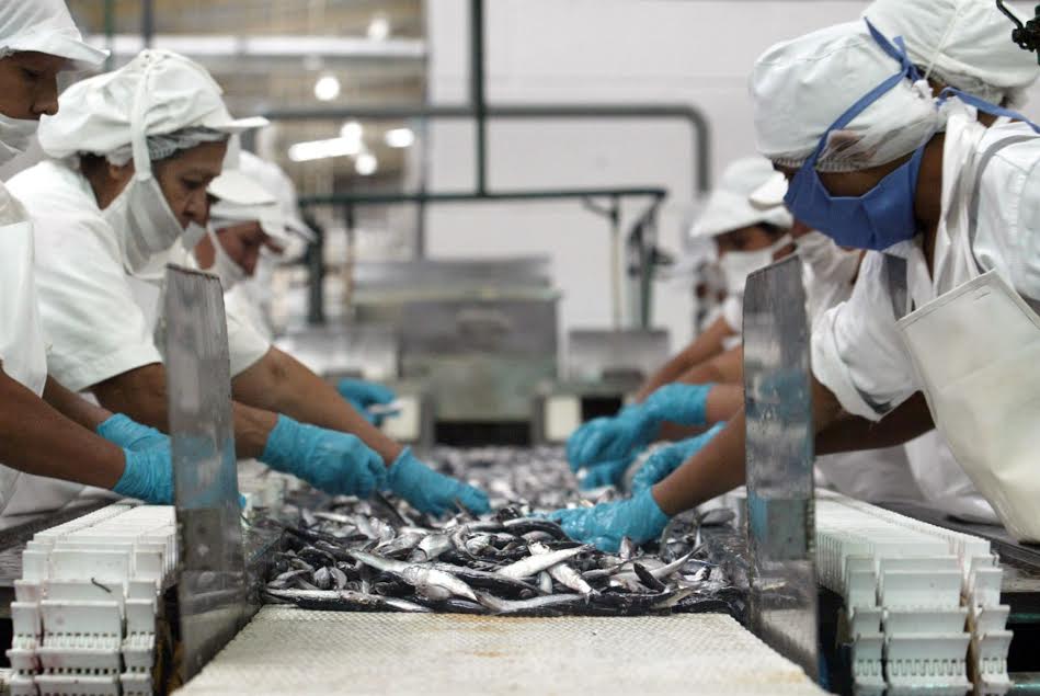 Sector Pesca alcanza un crecimiento anualizado de 20%, según informe de la SNP