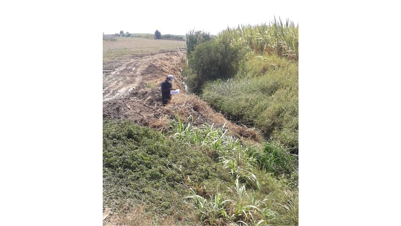 Minagri invierte más de 963 mil soles en reactivar  sector agrícola en Zaña