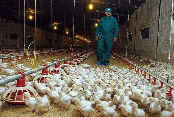 Lambayeque: INEI informa sobre crecimiento de sectores productivos en regiones del país  