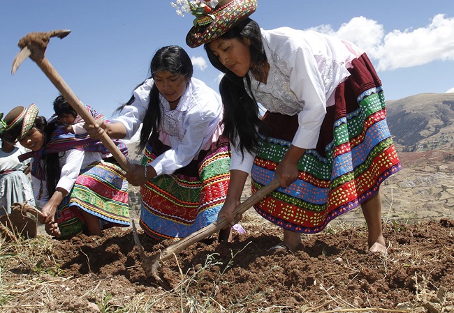 Día del Campesino: ¿Cómo les afecta la crisis económica? 