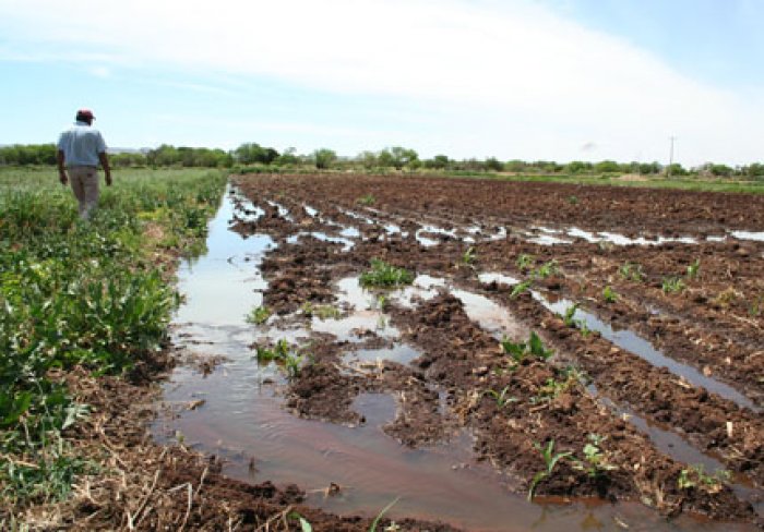 Policía Ecológica y Fiscalía detectan riego de cultivos con aguas servidas