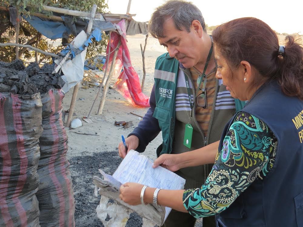 SERFOR detectó más de 800 sacos ilegales de carbón vegetal en Mórrope