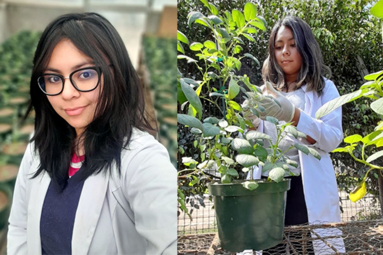 Shirley, la estudiante que busca combatir malnutrición a través de papas biofortificadas