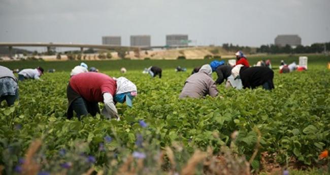 El desparpajo “liberal”