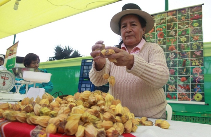 Sierra Exportadora impulsó planes de negocios en zonas vulnerables de Lambayeque