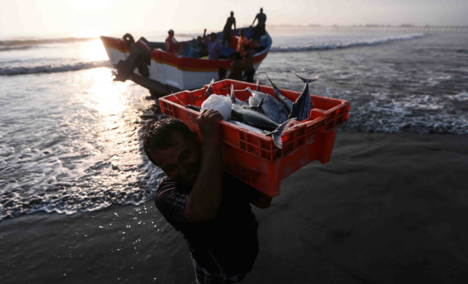  Produce difundirá spot para promover consumo de productos hidrobiológicos