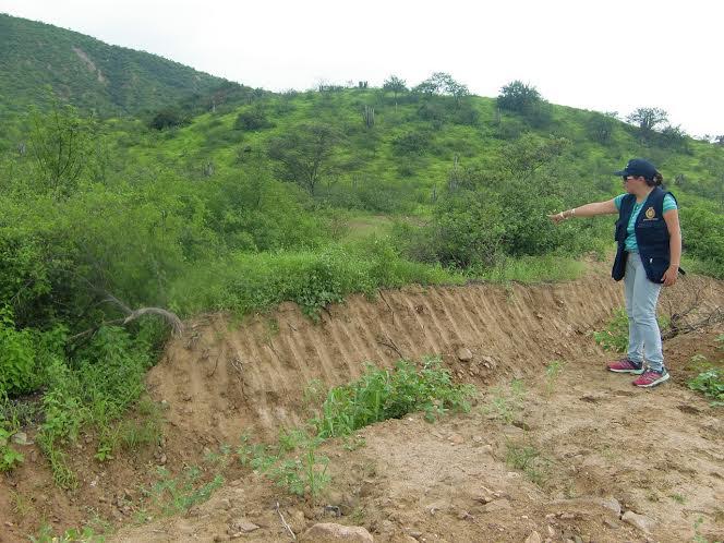 Fiscalía verifica tala ilegal de algarrobo en reserva de Chaparrí