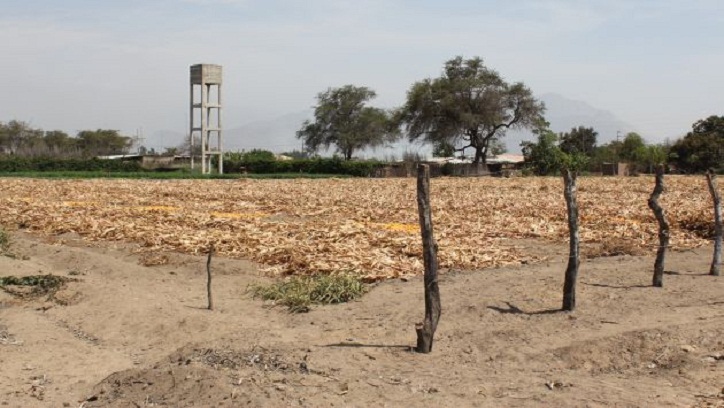 Tres bandas delictivas se disputan el tráfico de terrenos en Chiclayo
