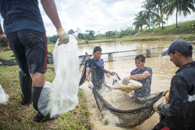 Realizarán capacitaciones descentralizadas en 12 regiones para promover el desarrollo de la acuicultura
