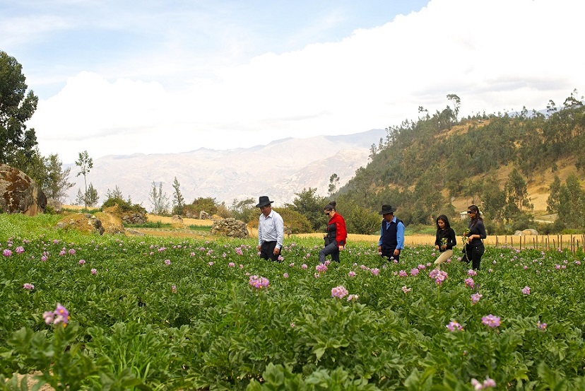 En Fiestas Patrias: vive nuevas experiencias descubriendo otro lado del Perú con el Turismo Rural Comunitario
