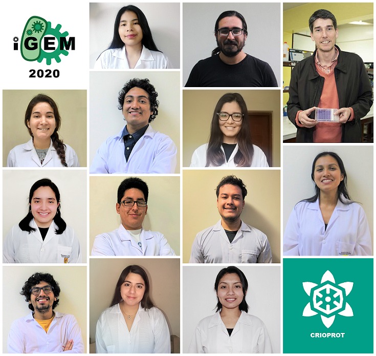 Universitarios peruanos ganan medalla de oro en evento internacional de biotecnología  