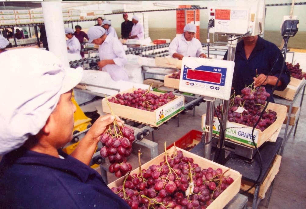Perú fue el noveno proveedor mundial de frutas en el 2021 