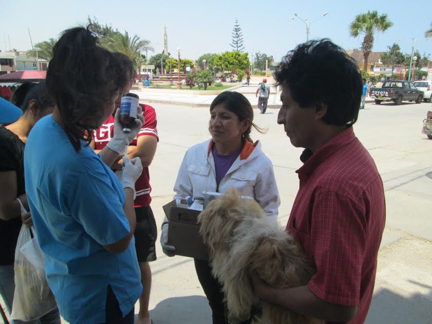 Jóvenes de Ciudad Eten realizan vacunación a canes abandonados
