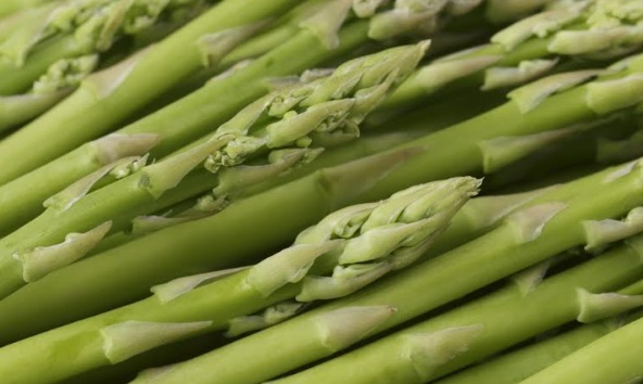  Exportaciones peruanas crecieron 14.6% entre enero y septiembre del 2024