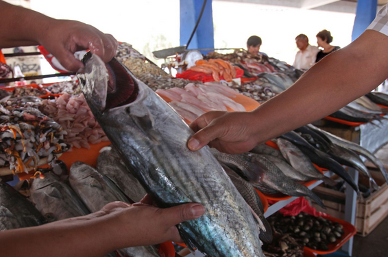 Consumo de pescado crecerá en 100% por Semana Santa