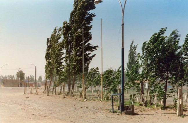 Senamhi pronostica fuertes vientos en la costa norte desde mañana hasta el sábado 31