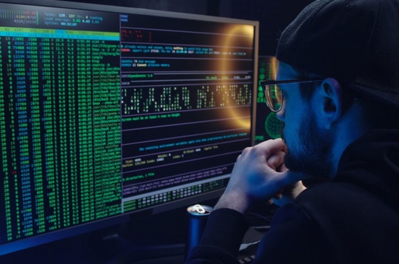 Seguridad digital: ¿Cómo proteger la Información de tu empresa?