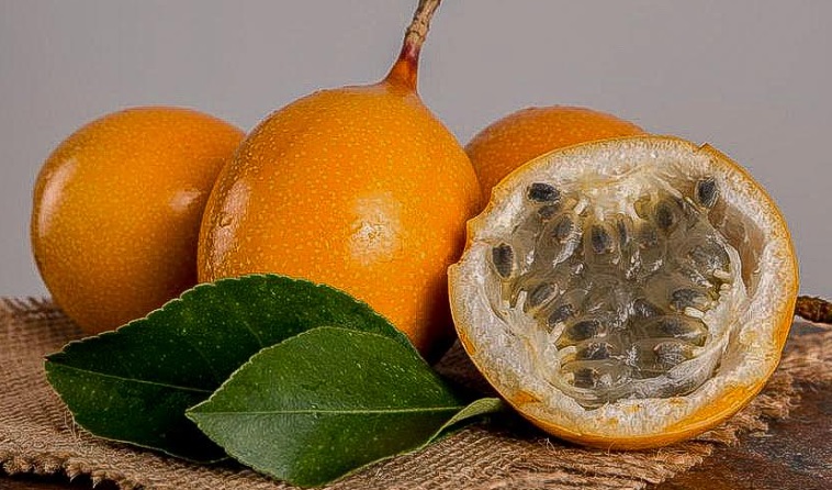 Inacal brinda requisitos de calidad de la granadilla para mejorar su productividad