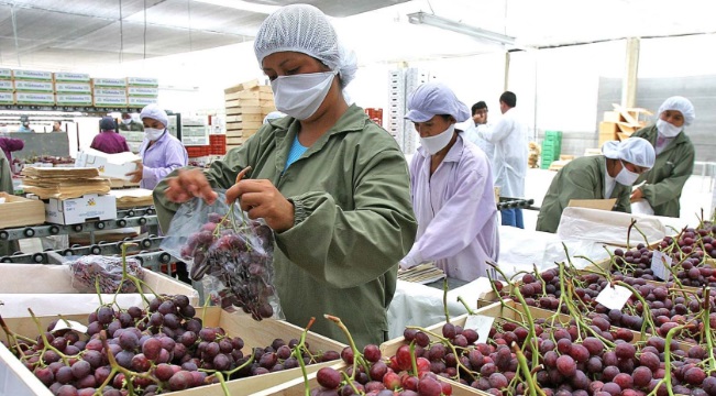 Agroexportaciones peruanas buscan seguir la senda del crecimiento