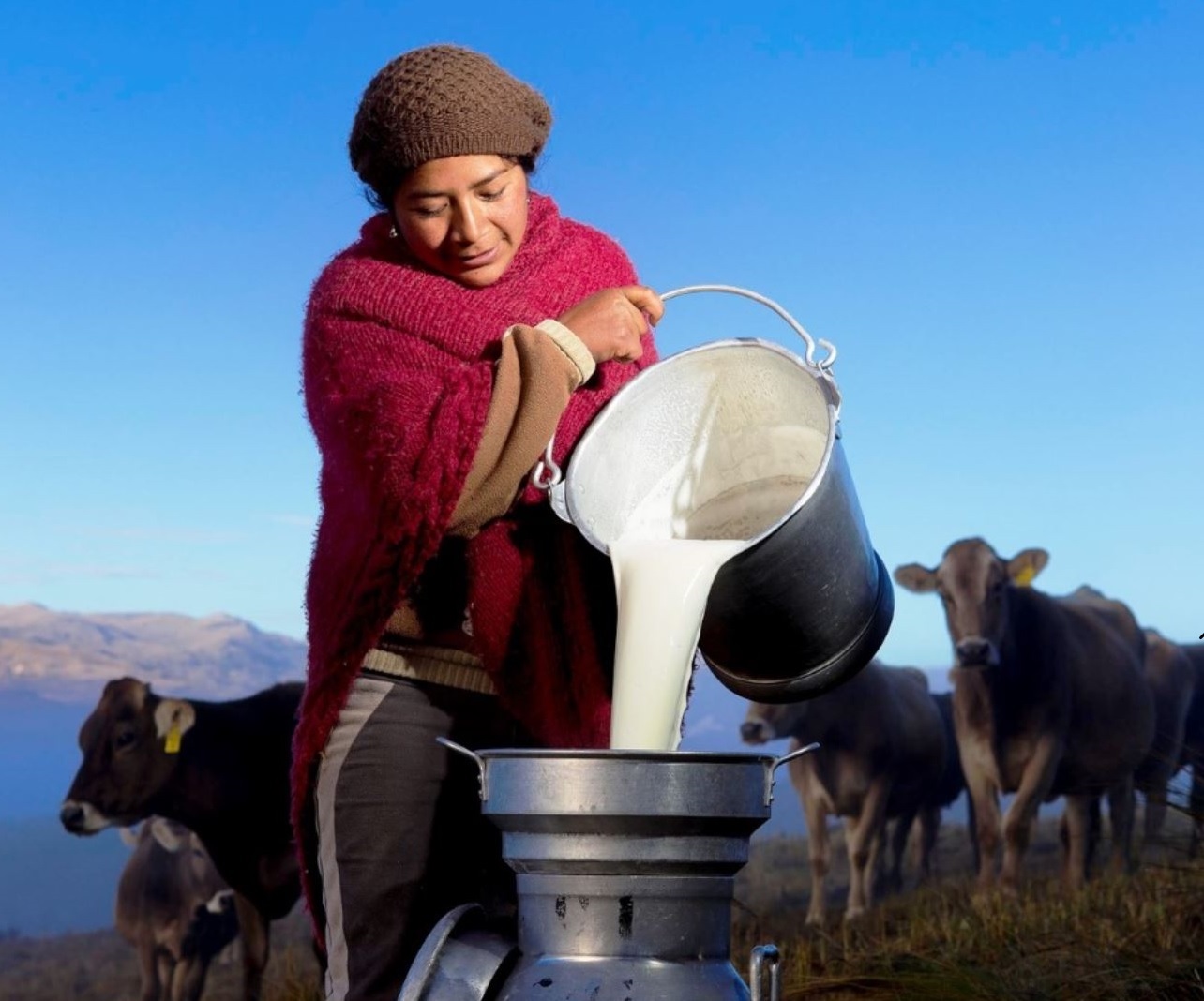 Presentan proyecto que estimula producción láctea artesanal en mercado nacional